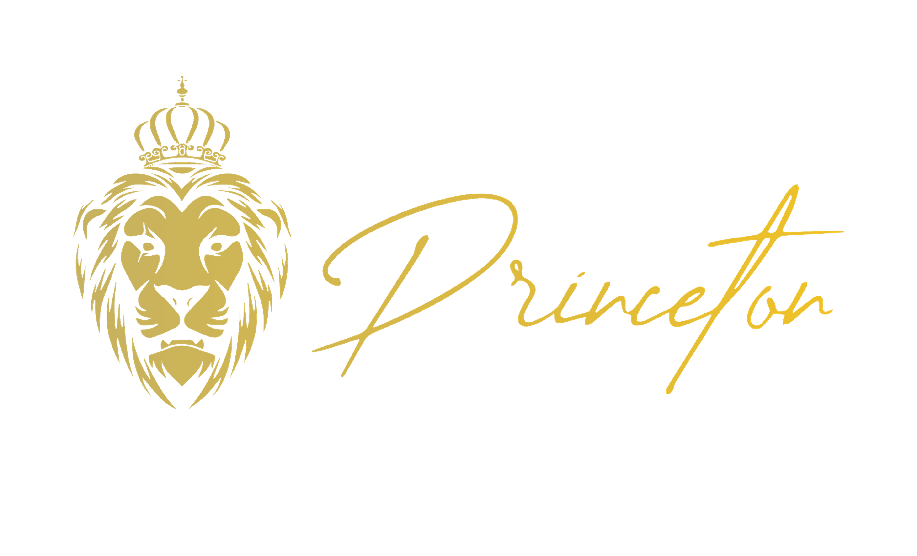 Princeton Standard